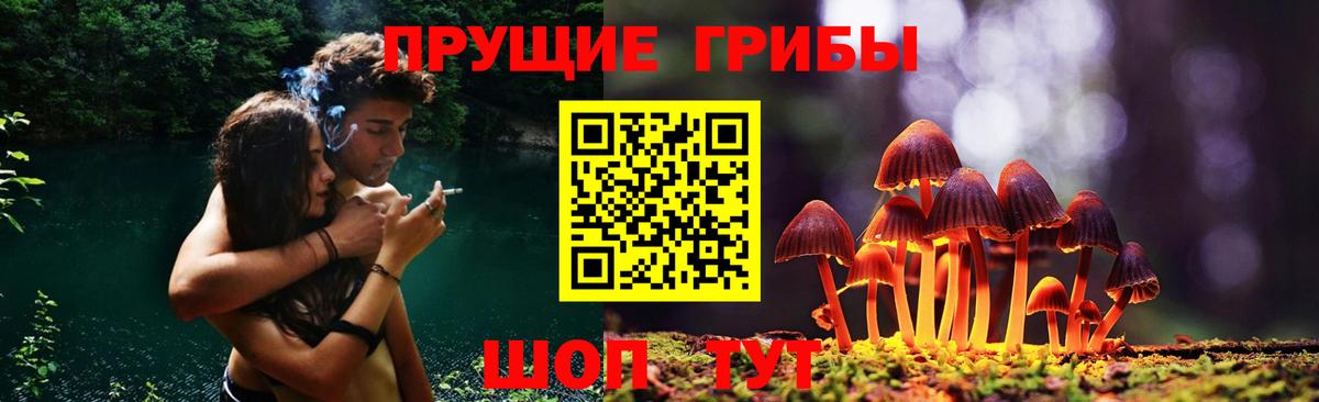 Галлюциногенные грибы Cubensis  Псилоцибиновые грибы Psilocybe  Торжок  Вход с VPN 